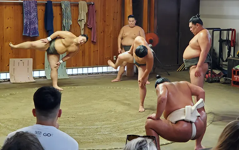 Sumo Morning Practice viewing
