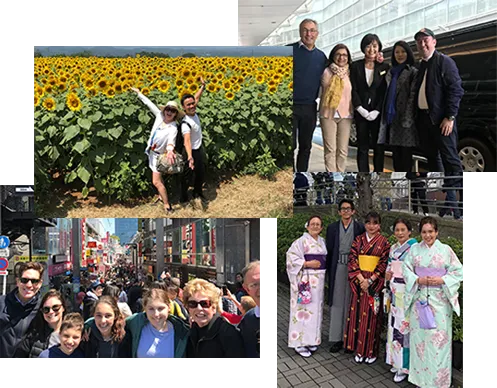guided tours