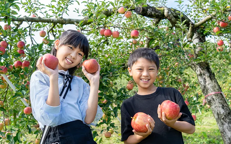 Fruits picking