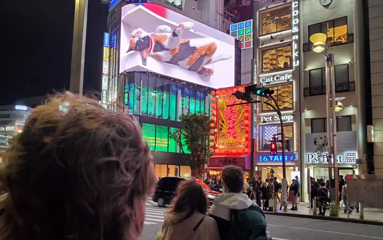 Tokyo Night Tour