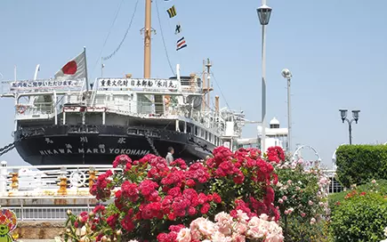 ばら(横浜)
