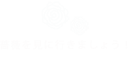 お花見に行きましょう!