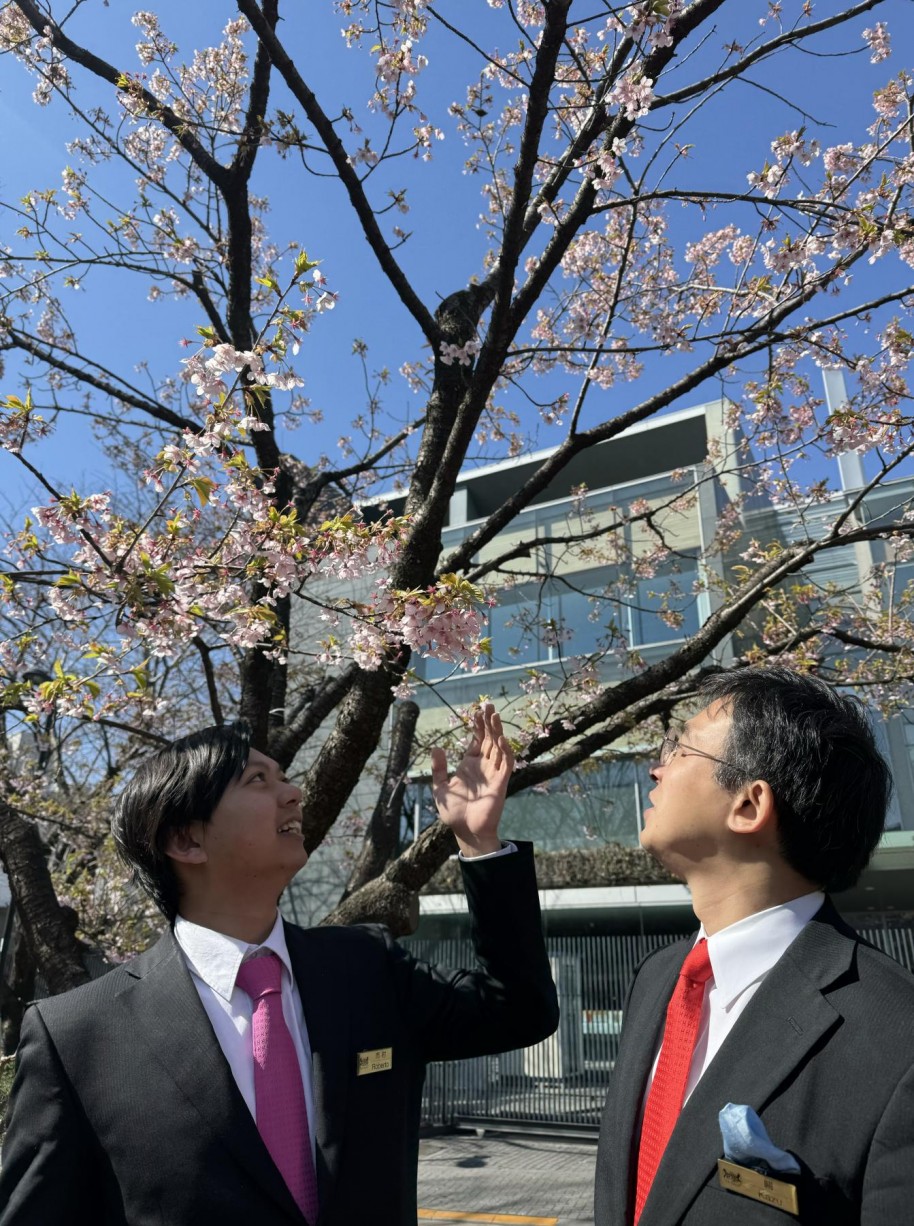 東京の桜研修 第二回目
