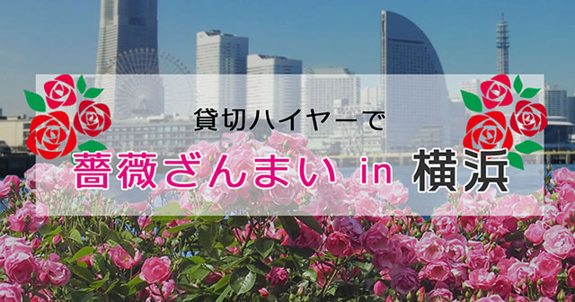 薔薇ざんまい in 横浜!