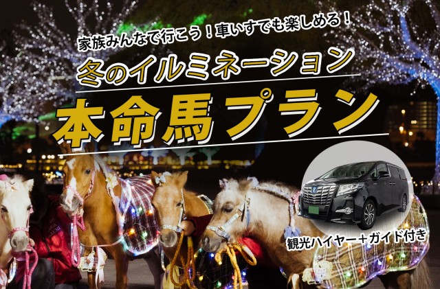 冬のイルミネーション本命馬プラン