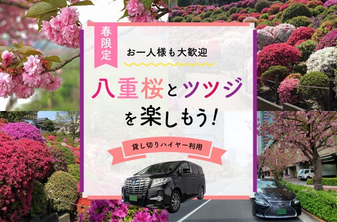 「八重桜とツツジを楽しもう!」観光プラン4月8日販売開始