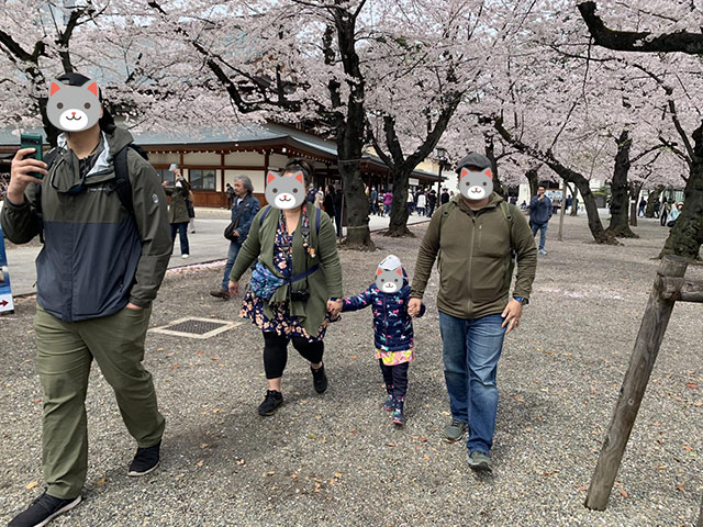 桜ツアー実施中