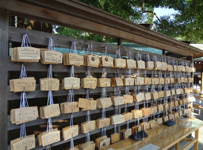 明治神宮にて