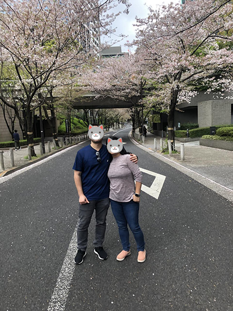 ハイヤーで桜鑑賞と東京観光